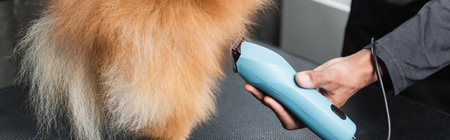 partial view of african american pet hairdresser grooming dog with electric trimmer, banner