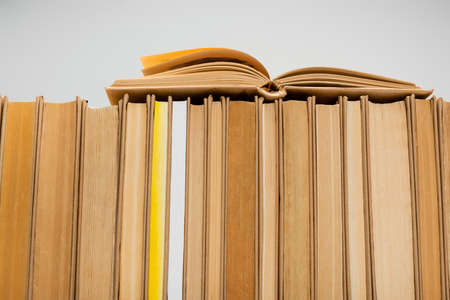 row of books collection isolated on gray