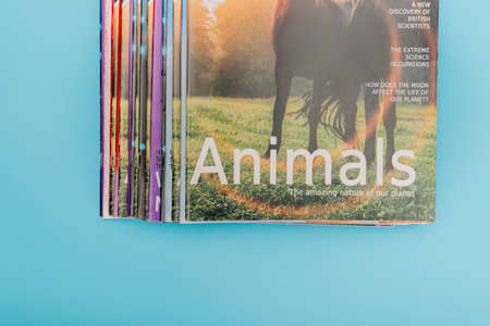 top view of colorful animals magazines isolated on blueの写真素材