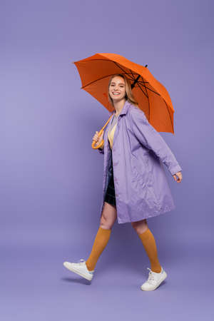 full length of cheerful young woman in trench coat walking under orange umbrella on purpleの写真素材