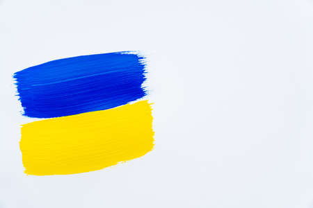 Top view of painted ukrainian flag on white backgroundの写真素材