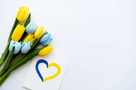 Top view of card with pained heart symbol near yellow and blue tulips on white backgroundの写真素材
