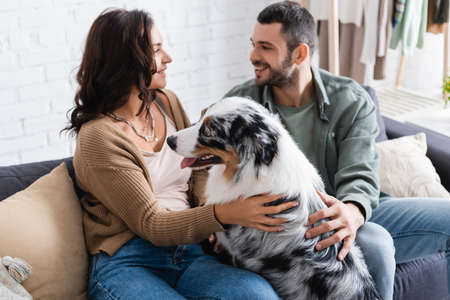 happy young couple cuddling australian shepherd dog and looking at each other at homeの写真素材