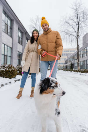 full length of blurred young couple in winter jackets and hats strolling with australian shepherd dogの写真素材