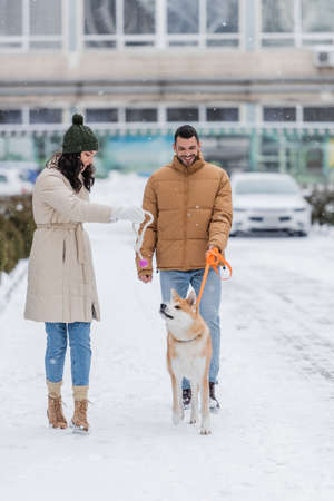 happy man holding leash while walking near girlfriend playing with akita inu dogの写真素材