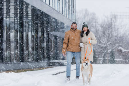 smiling woman holding leash while walking together with boyfriend and akita inu dog under falling snowの写真素材