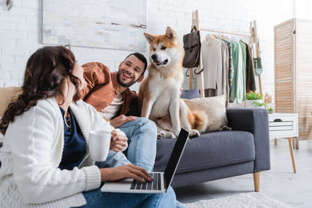 young freelancer with cup using laptop near smiling boyfriend and akita inu dog on sofaの写真素材