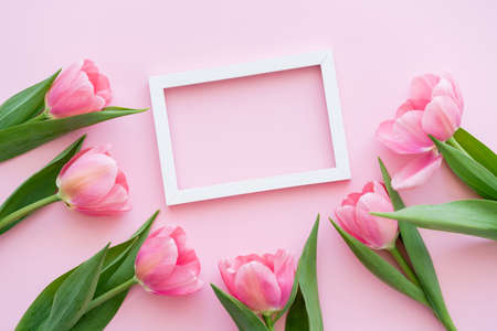 flat lay of blossoming tulips with green leaves near frame on pink, mothers day conceptの写真素材