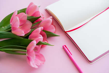 high angle view of tulips near blank notebook and pen on pink