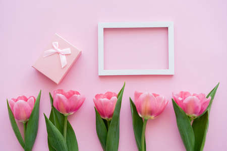 top view of row with blooming tulips near gift box and frame on pinkの写真素材