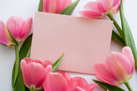 close up of pink tulips near pastel envelope on whiteの写真素材