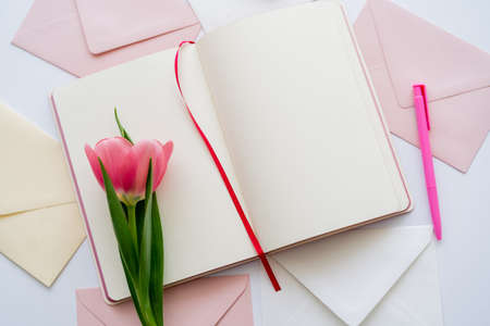 top view of pink tulip on blank notebook near envelopes on whiteの写真素材