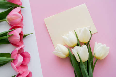 top view of blooming colorful tulips near envelope on white and pinkの写真素材