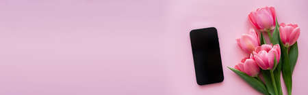 top view of tulips near smartphone with blank screen on pink, bannerの写真素材