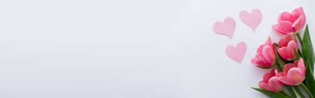 top view of bouquet of tulips near paper hearts on white, bannerの写真素材