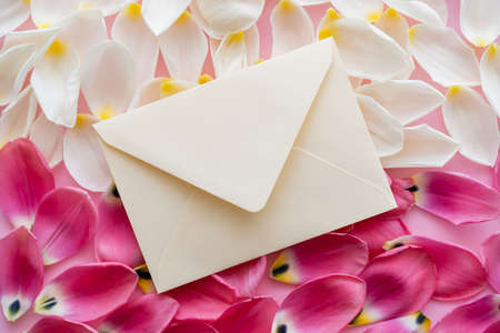 top view of envelope on white and pink floral petalsの写真素材
