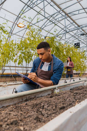 African american farmer writing on clipboard near ground in greenhouseの写真素材