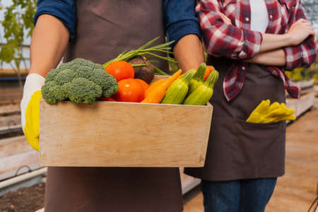 Cropped view of african american farmer holding box with fresh vegetables near colleague in greenhouseの写真素材