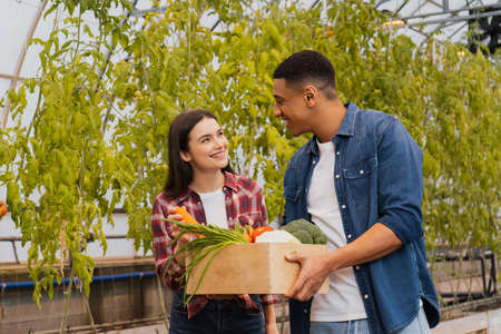 Positive farmer holding carrot near african american colleague in greenhouse