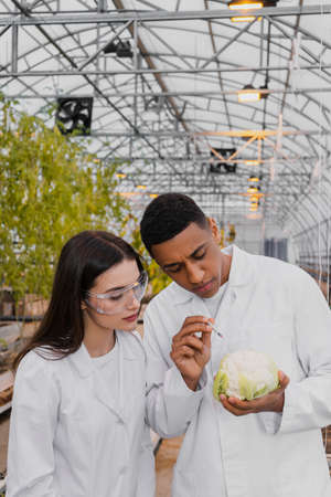 Multiethnic botanists in white coats holding cauliflower and syringe in greenhouseの写真素材