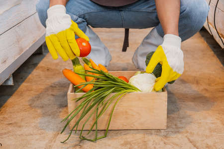 Cropped view of african american farmer in gloves holding fresh vegetables in box in greenhouseの写真素材