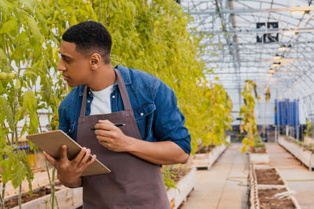 Side view of african american farmer holding pen and clipboard while looking at plants in greenhouseの写真素材