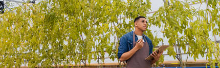 Thoughtful african american farmer holding clipboard near plants in greenhouse, bannerの写真素材