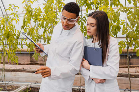 African american botanist in goggles holding clipboard near colleague in greenhouseの写真素材