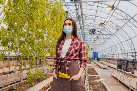 Young farmer in medical mask and apron looking at plants in greenhouseの写真素材