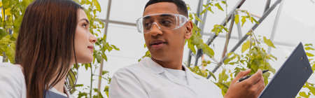Low angle view of african american botanist holding clipboard near colleague in greenhouse, banner