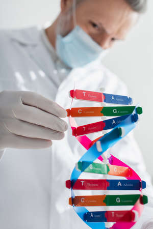 selective focus of dna model near blurred geneticist in medical mask