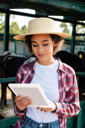 young african american woman in straw hat using digital tablet near blurred cowshedの写真素材