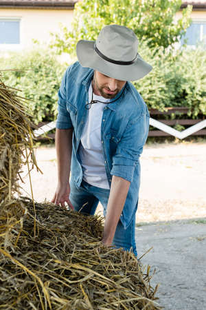 farmer in denim shirt and brim hat checking hay on farm