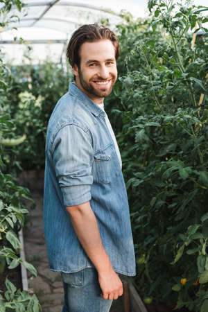 young farmer in denim shirt smiling at camera in greenhouseの写真素材