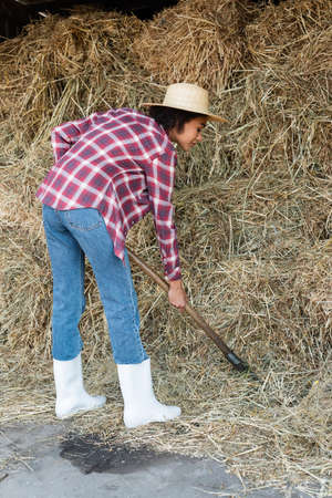 full length view of african american woman in plaid shirt stacking hay on farmの写真素材