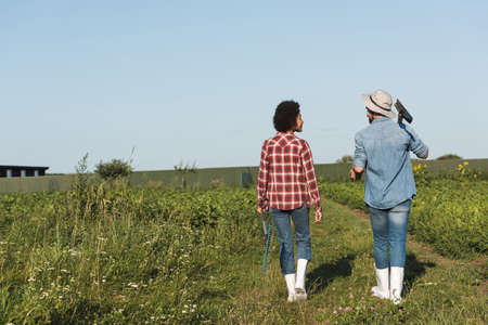 back view of multiethnic farmers walking with rakes and shovel in field