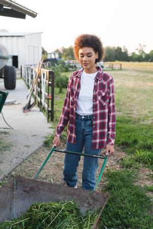 young african american woman with wheelbarrow and hay on farmの写真素材