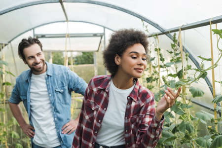 young african american farmer checking plants in greenhouse near smiling colleague