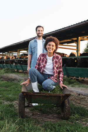 joyful african american woman sitting in wheelbarrow near farmer and blurred cowshedの写真素材