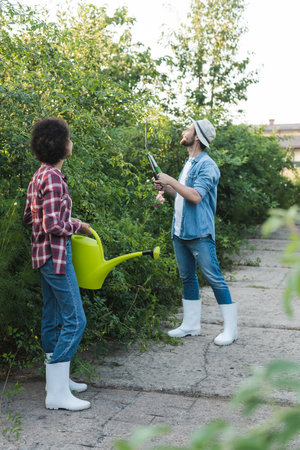 african american woman holding watering can near gardener trimming bushes in gardenの写真素材