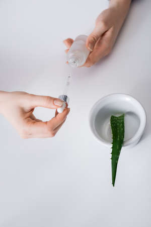 partial view of laboratory assistant holding serum with pipette near aloe in bowlの写真素材