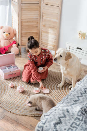 high angle view of dog and cat sitting on floor near girl playing with toy tea setの写真素材