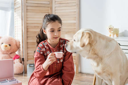 brunette girl holding toy cup while playing with labrador at homeの写真素材
