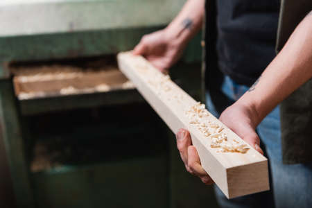 cropped view of woodworker holding board near blurred thickness planner