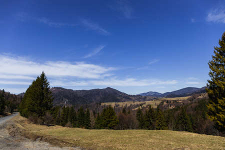 Mountains with trees and blue sky with clouds at background