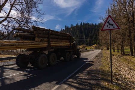 Truck with wooden logs on road near road sign in mountainsの写真素材