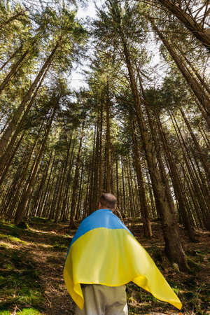 Back view of man with ukrainian flag standing in forestの写真素材