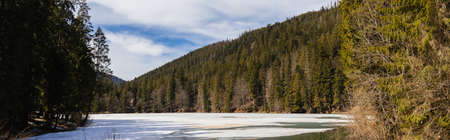 Forest on mountains near lake with snow, bannerの写真素材