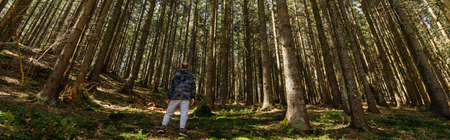 Back view of tourist standing in evergreen forest, bannerの写真素材