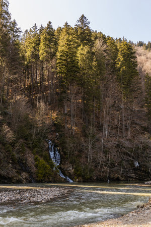 Pine trees on hill of mountain and river at daylight